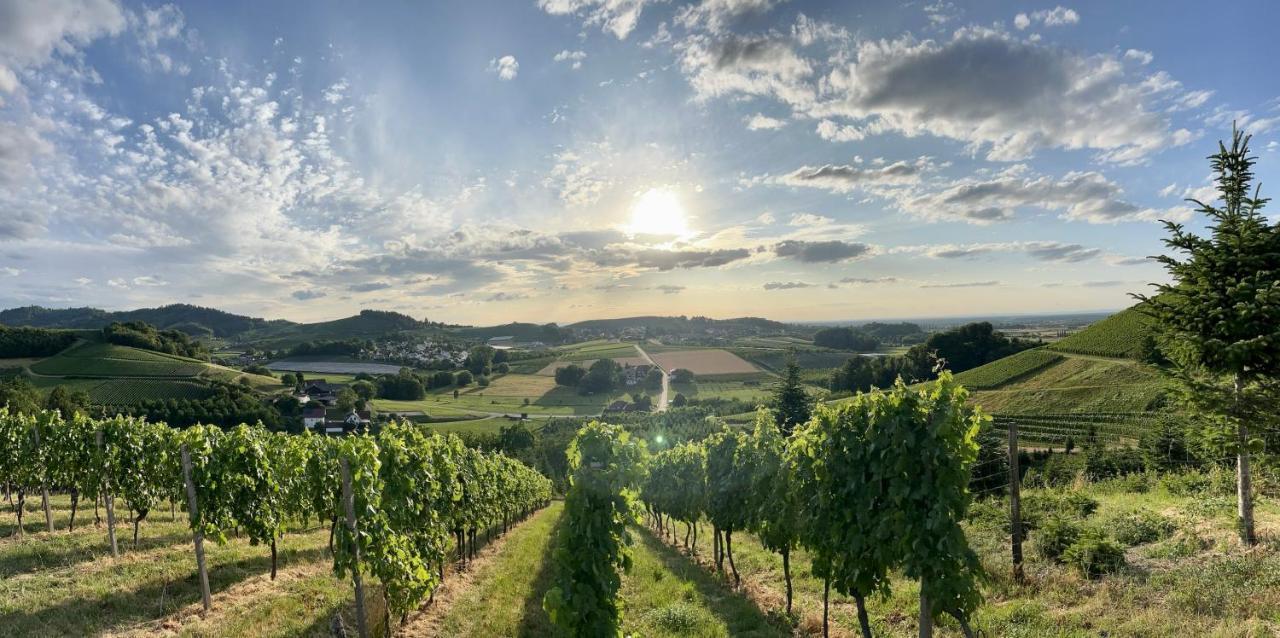 Ferienapartment Huber Oberkirch  Bagian luar foto